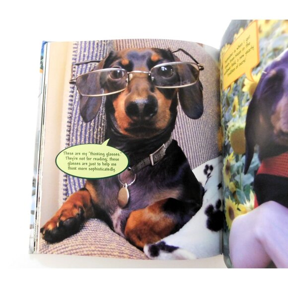 Crusoe Adventures Of The Wiener Dog Extraordinaire Ryan Beauchesne 2015 1st EdHB - Picture 7 of 7